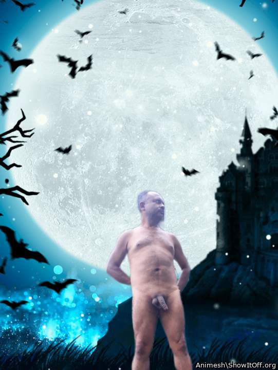 Adult image from Animesh