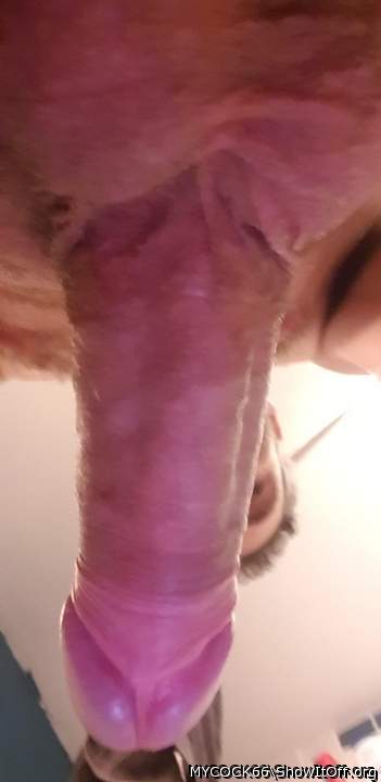Adult image from MYCOCK66