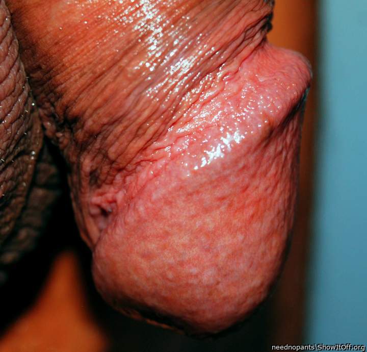 Adult image from neednopants