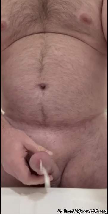 Adult image from Stallion33