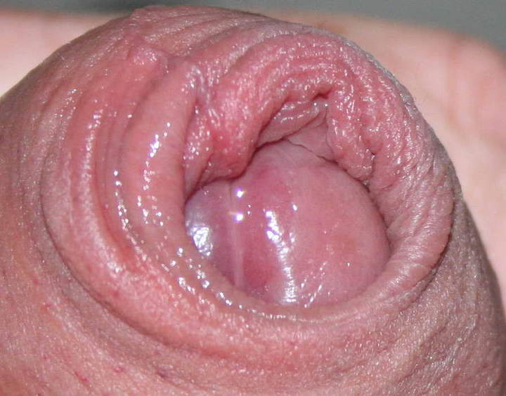 Adult image from nylonlover