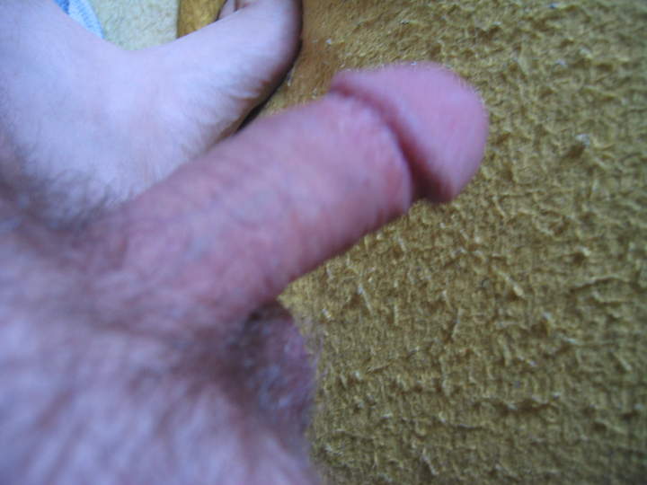  sch�ner Cutschwanz 