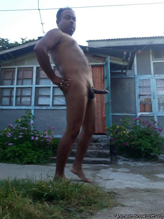 Adult image from Animesh