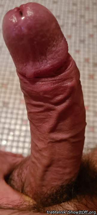 Just gonna say that�s a good looking cock ladies. I hope you
