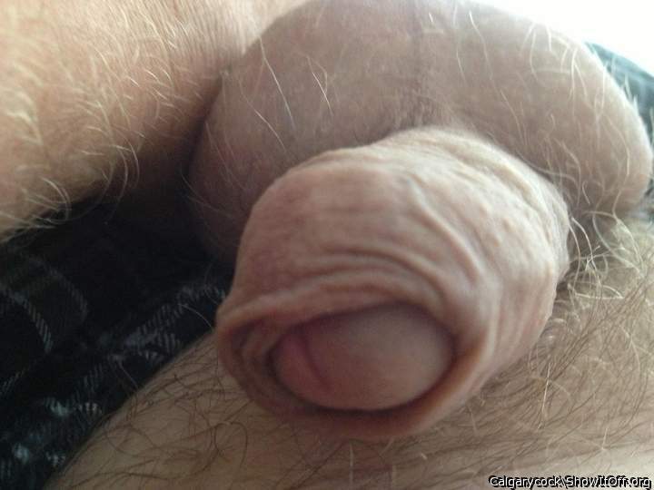 Adult image from Calgarycock
