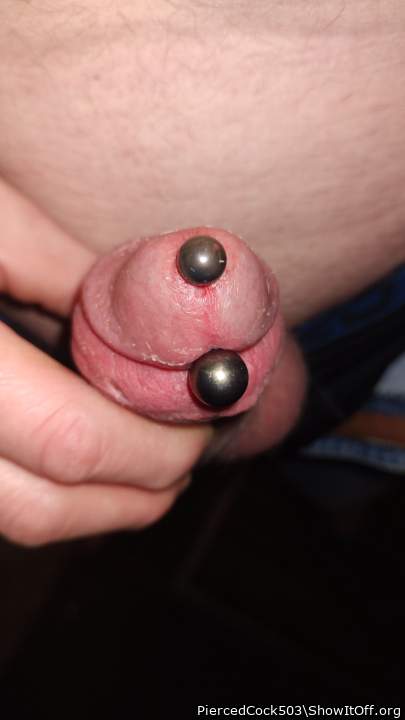 Adult image from PiercedCock503