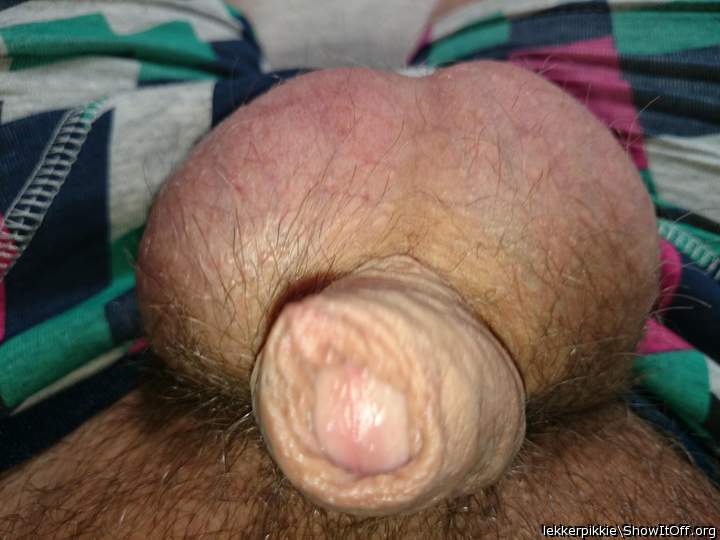 Adult image from lekkerpikkie