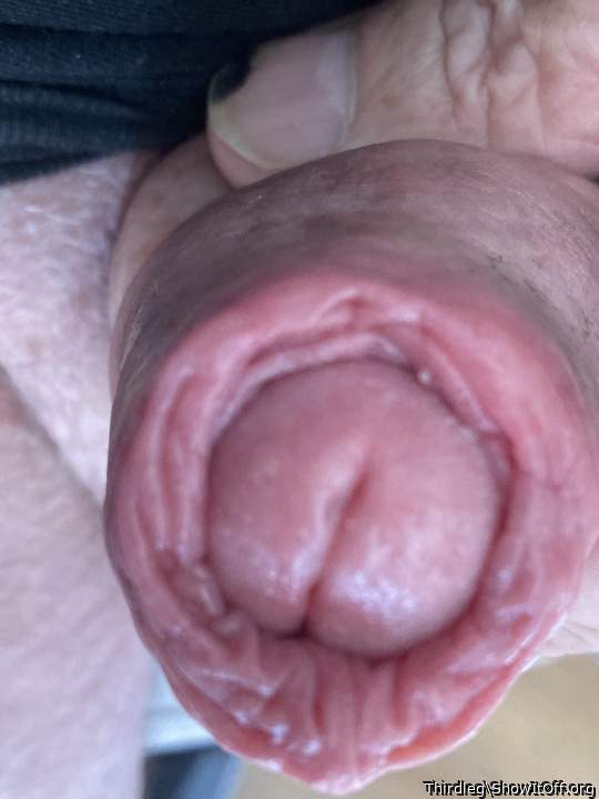 Adult image from Thirdleg