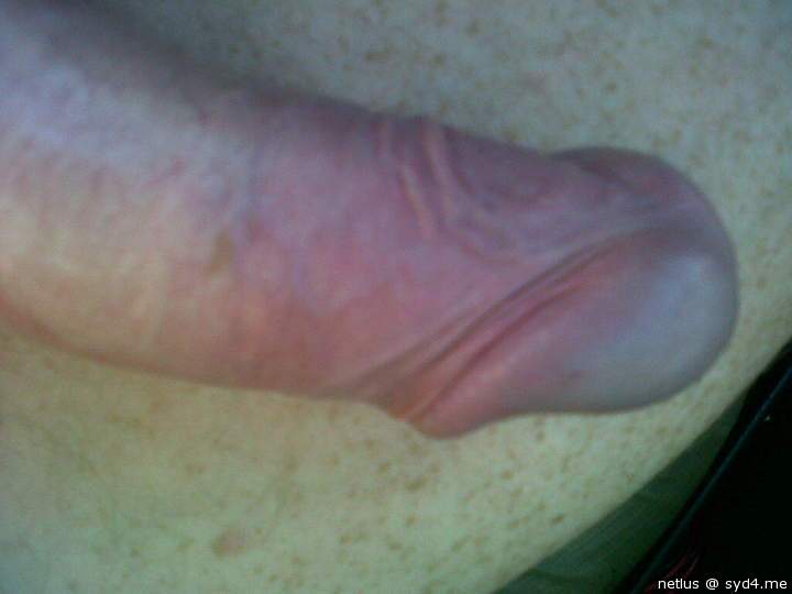 Adult image from netlus