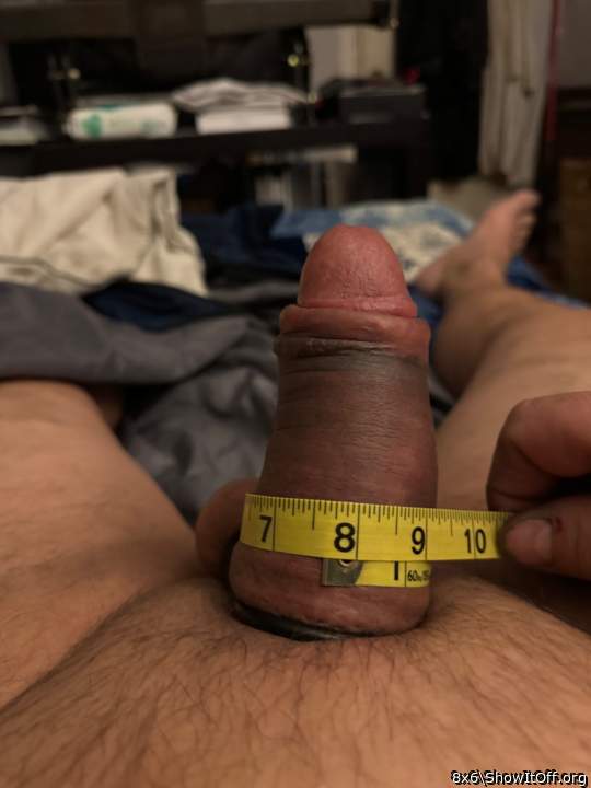 Adult image from 8x6
