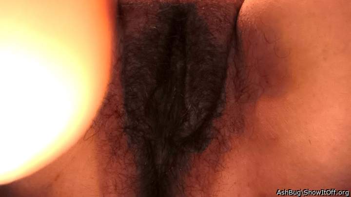 Adult image from AshBug