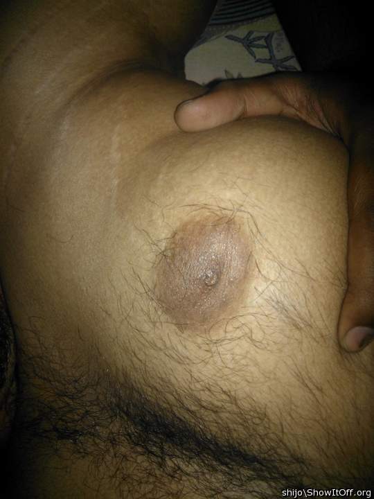Adult image from Shijo