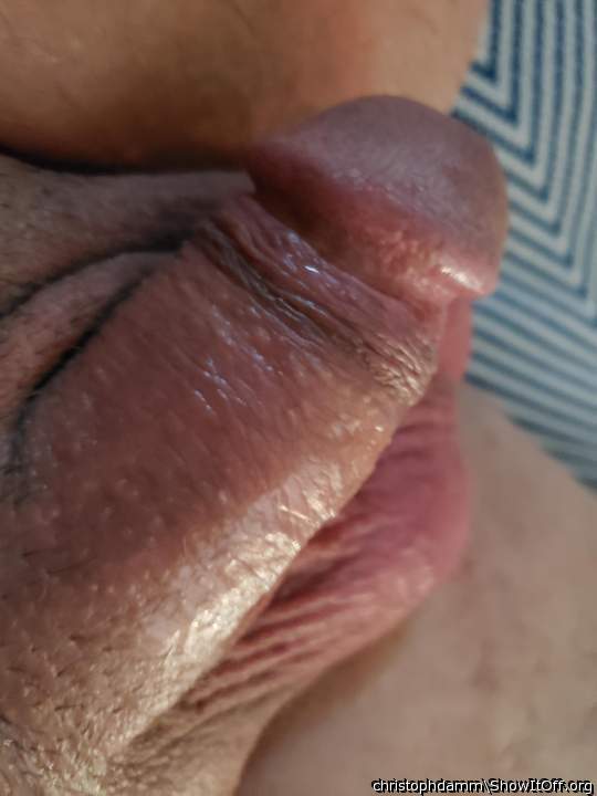 Adult image from christophdamm