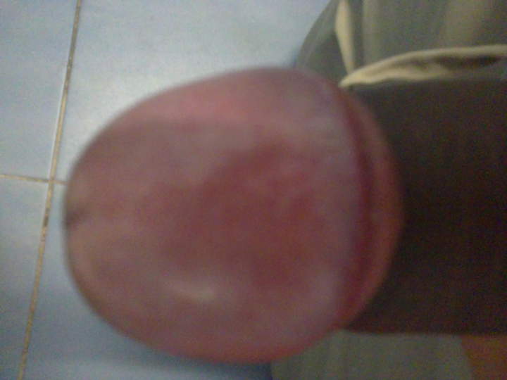 Adult image from nicedices