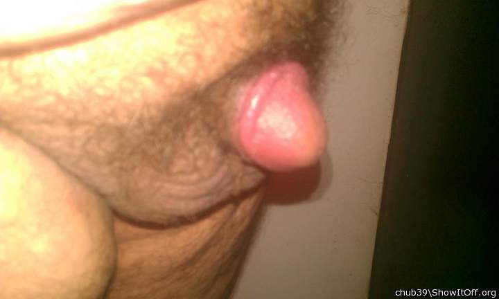 Adult image from chub39