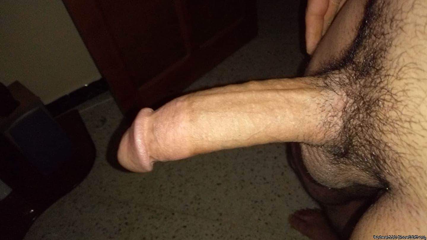 Adult image from rodwan230