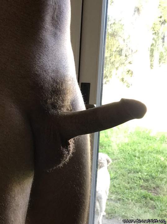 Adult image from sbbire
