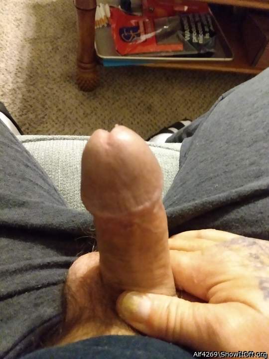Adult image from Alf4269