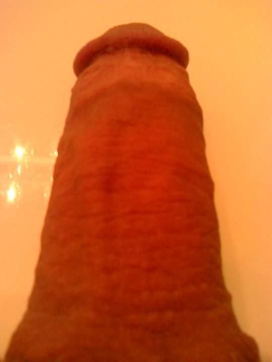 Adult image from HJ_buddy