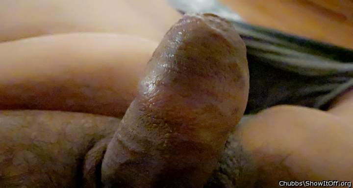 Adult image from Chubbs