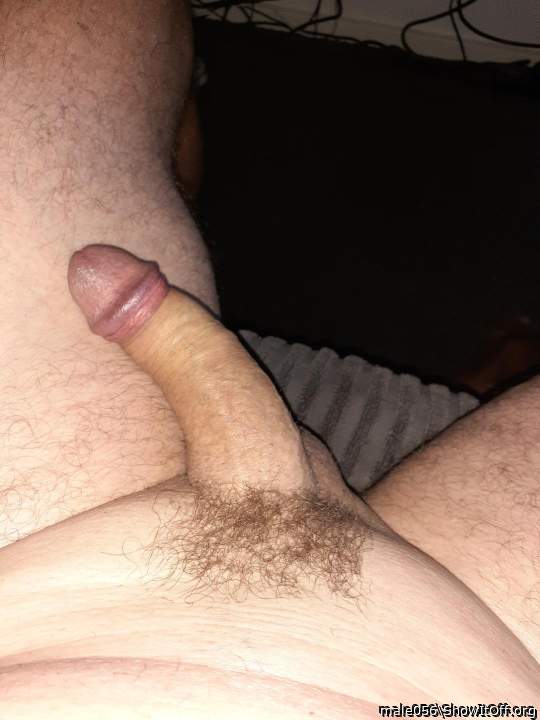 Adult image from male056