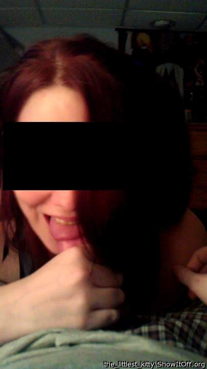 Adult image from the_littlest_kitty