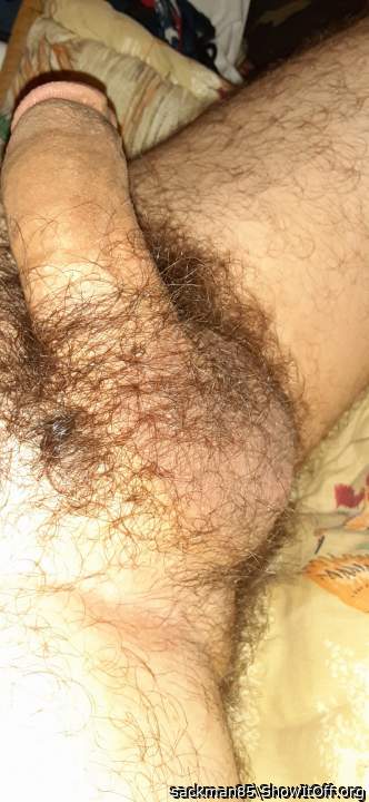 Adult image from DeadEndSperm