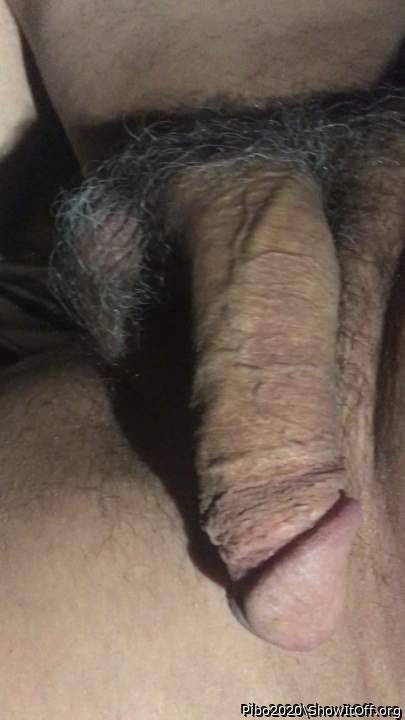 Adult image from Pibo2020