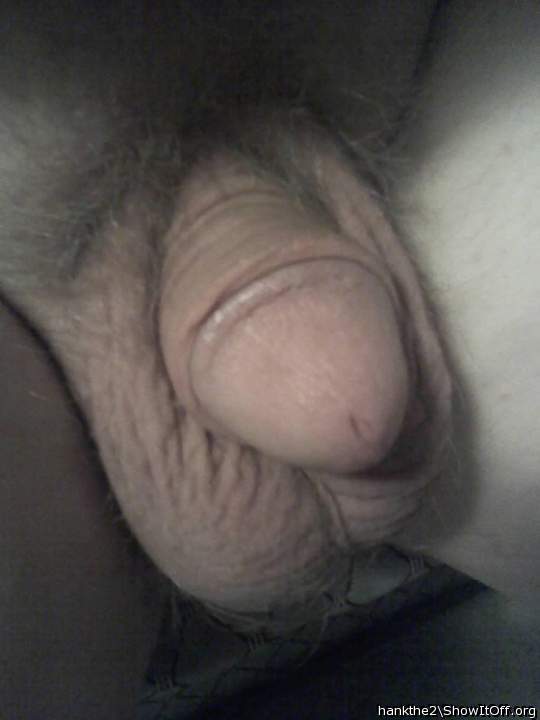 Adult image from hankthe2