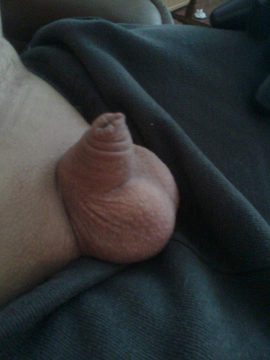 Adult image from Smander