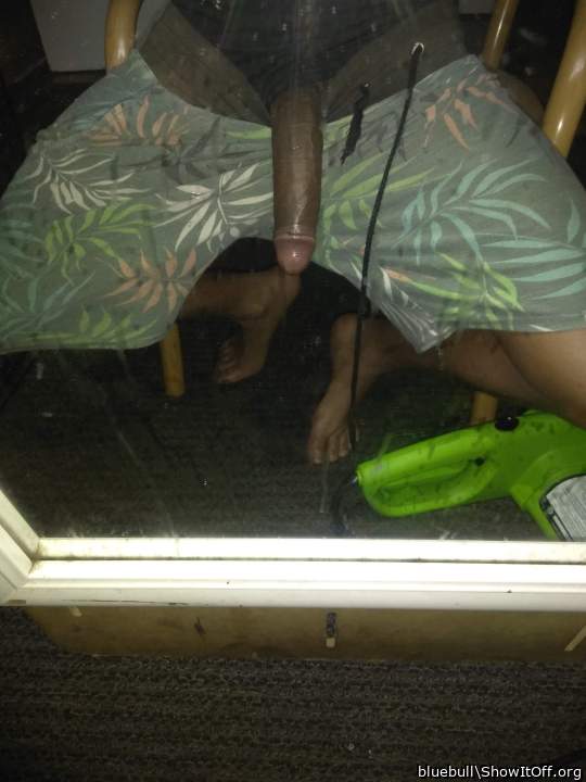 Adult image from bluebull
