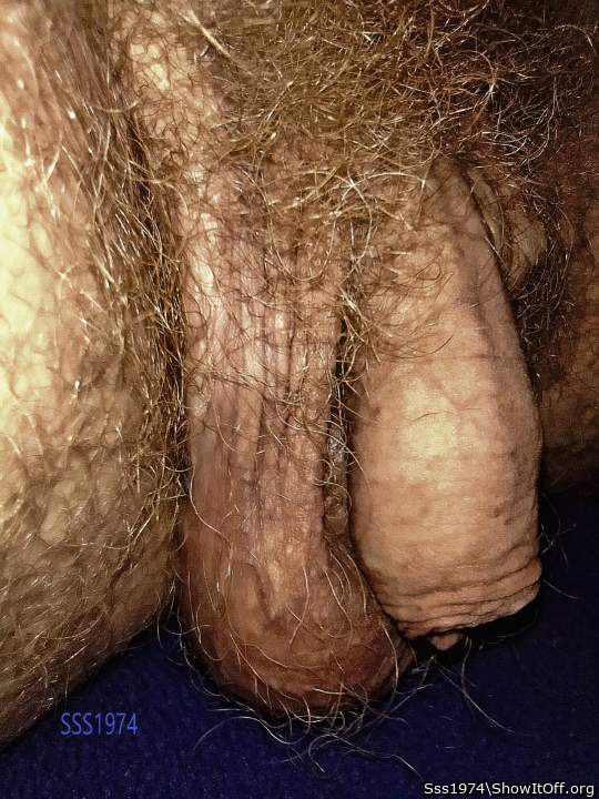 So hairy. Would feel so good in my mouth
