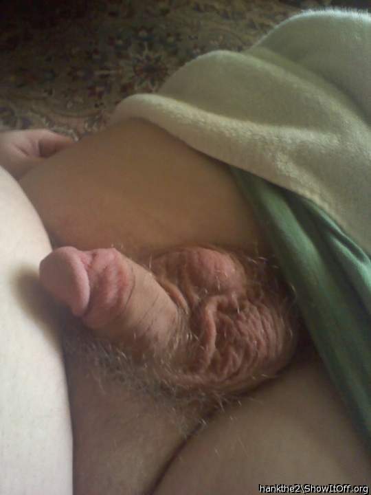 Adult image from hankthe2