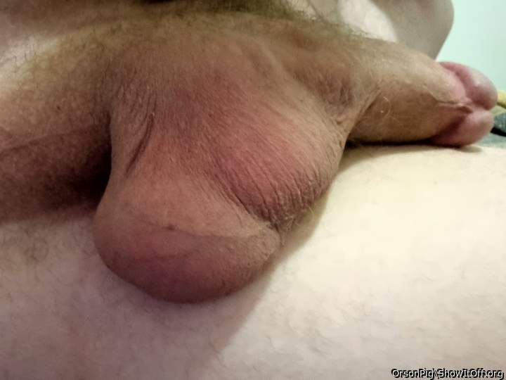 Adult image from OrsonPig