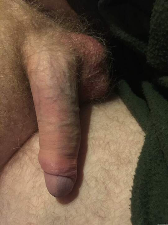 Adult image from peter79