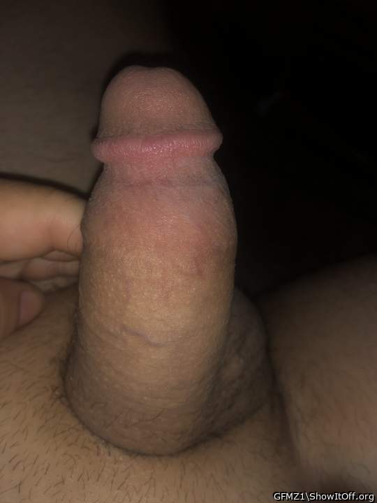 Adult image from GFMZ1
