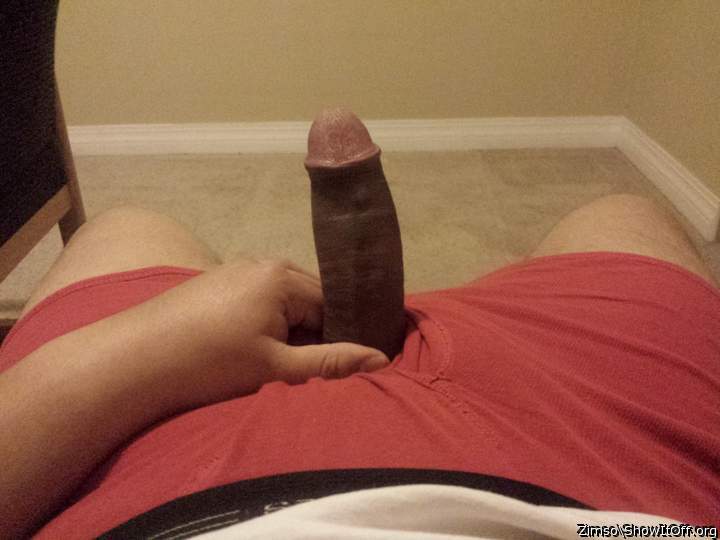 Adult image from zimso