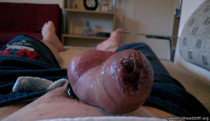 Adult image from jake65