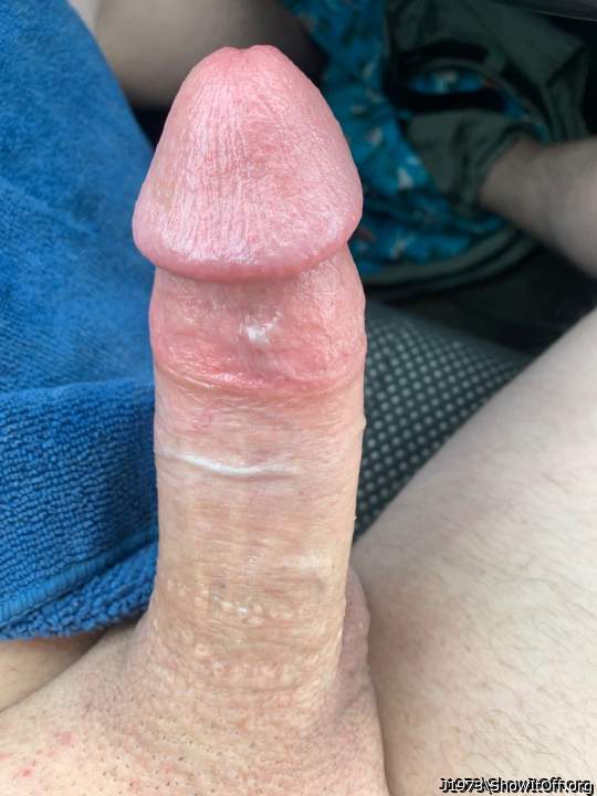Adult image from J1973