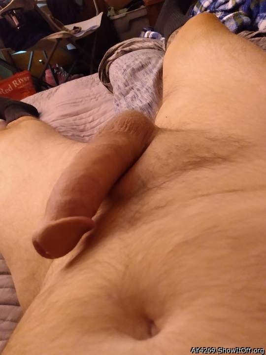 Adult image from Alf4269