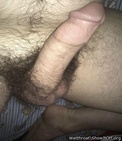 Adult image from Wetthroat