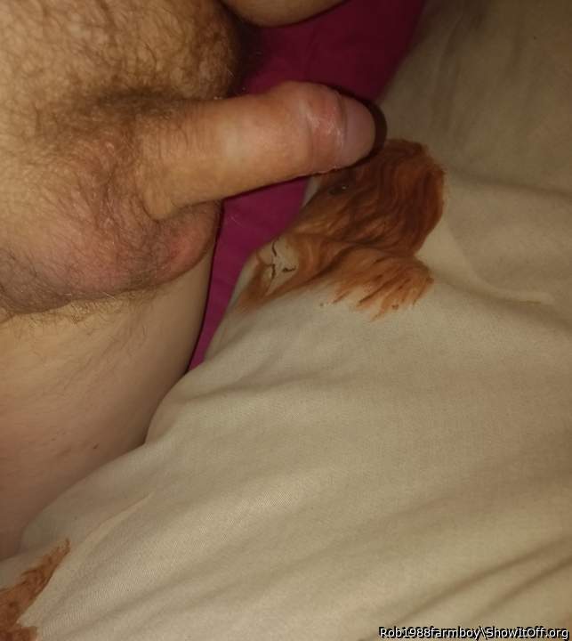 Adult image from Rob1988farmboy