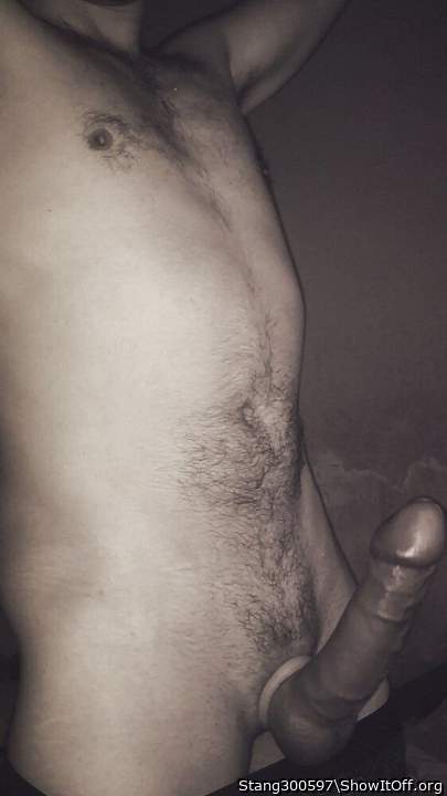 Adult image from Stang300597