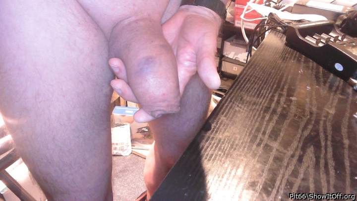 Adult image from Pit66