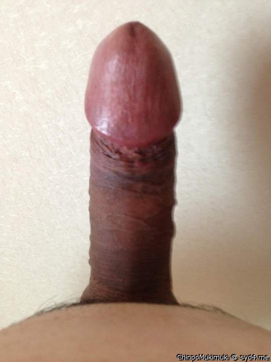 Adult image from ChinpoMukimuki