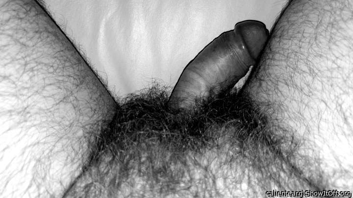 Adult image from calientearg
