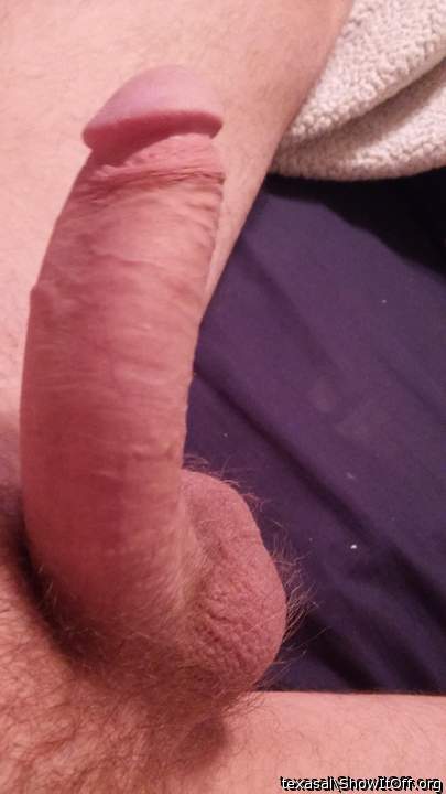 Adult image from texasal