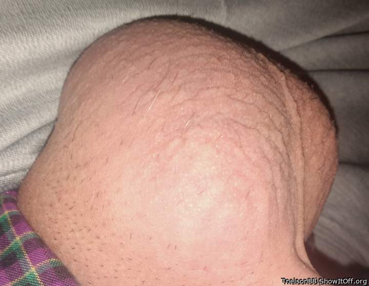 Adult image from Tnelson88