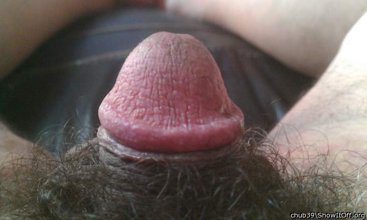 Adult image from chub39