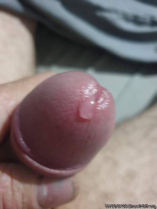 Adult image from MYCOCK66